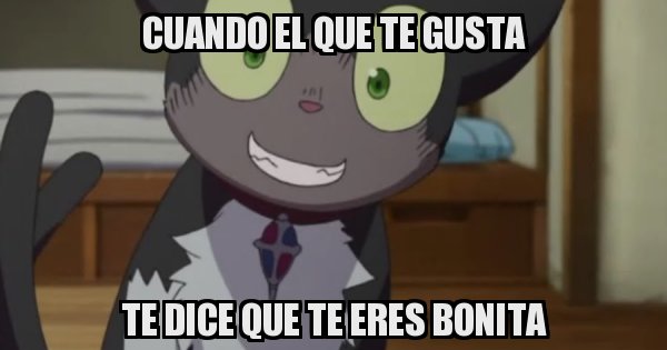 Meme generator