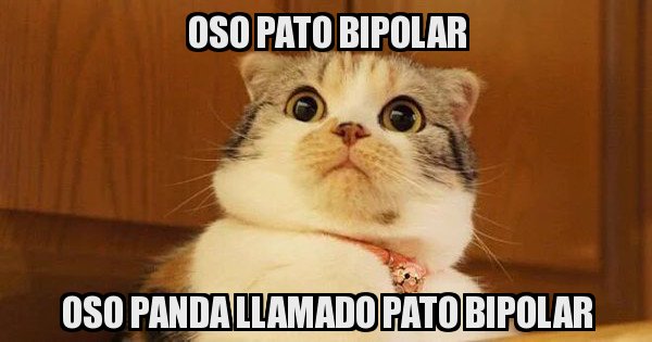 Meme generator