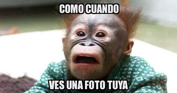 Meme generator