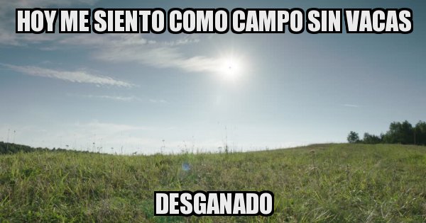 Meme generator