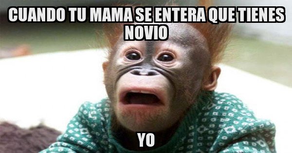 Meme generator