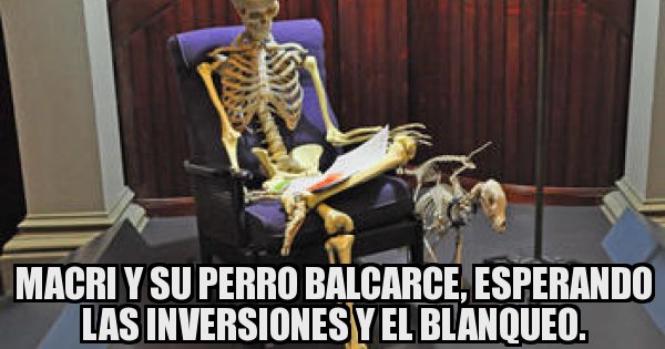 Meme generator