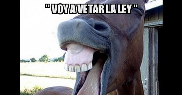 Meme generator