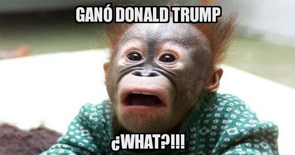 Meme generator