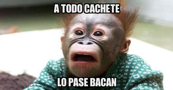 Meme generator