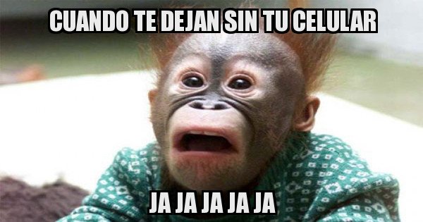 Meme generator